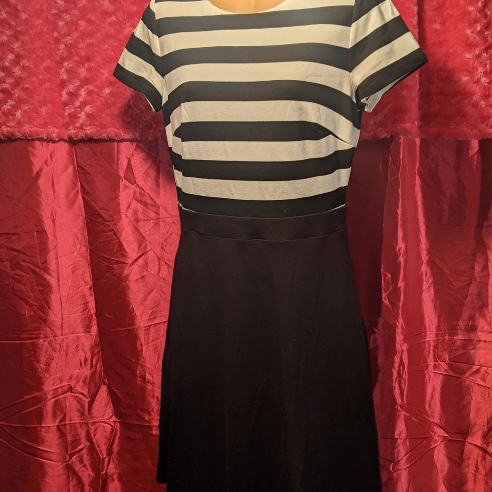 Size 2 Loft Dress